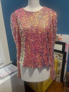 Endless Rose Iridescent Pink Sequin Long Sleeve Top
